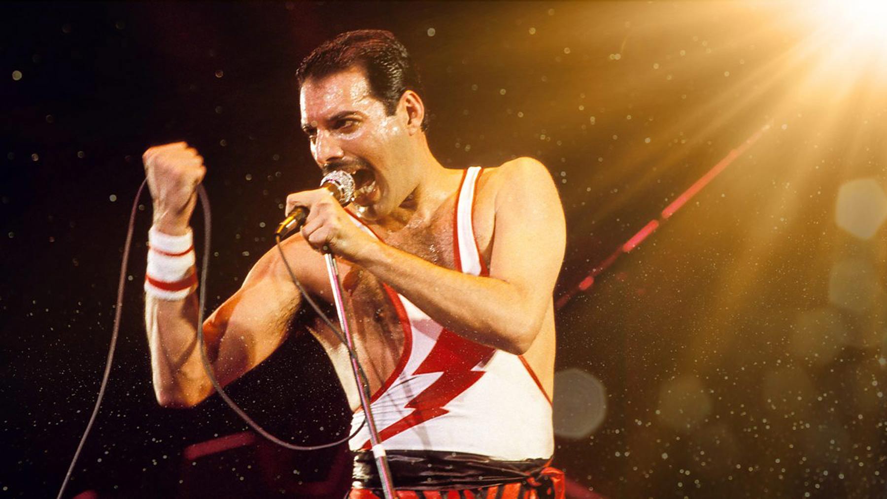Freddie Mercury (September 5, 1946 – November 24, 1991) - British singer, songwriter, pianist, and lead vocalist for the rock band Queen.