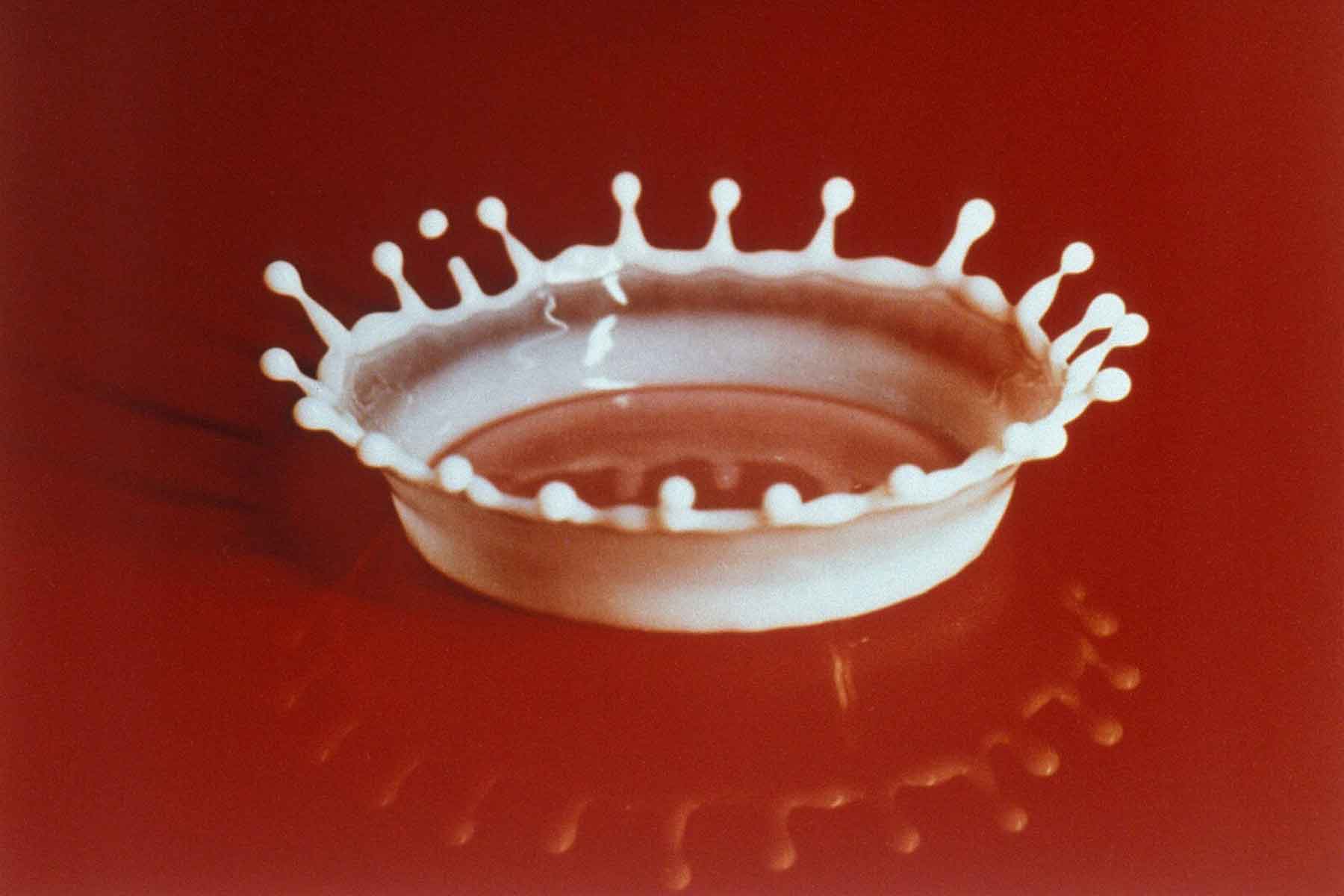 Milk Drop Coronet, an ultra-high-speed photograph of the splash of a drop of milk by Harold Edgerton