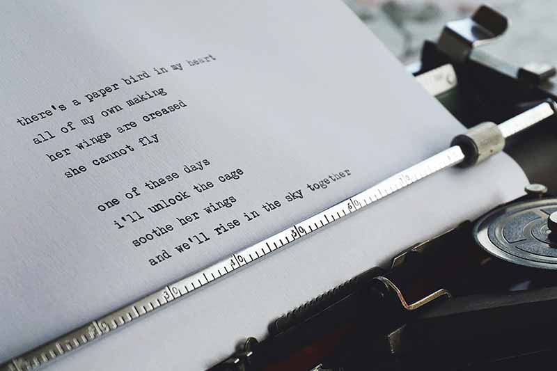 Poetic Devices and Literary Techniques